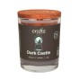Dark Castle kopia.jpg