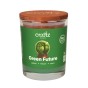 Green Future kopia.jpg