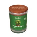 Green Future3 kopia.jpg