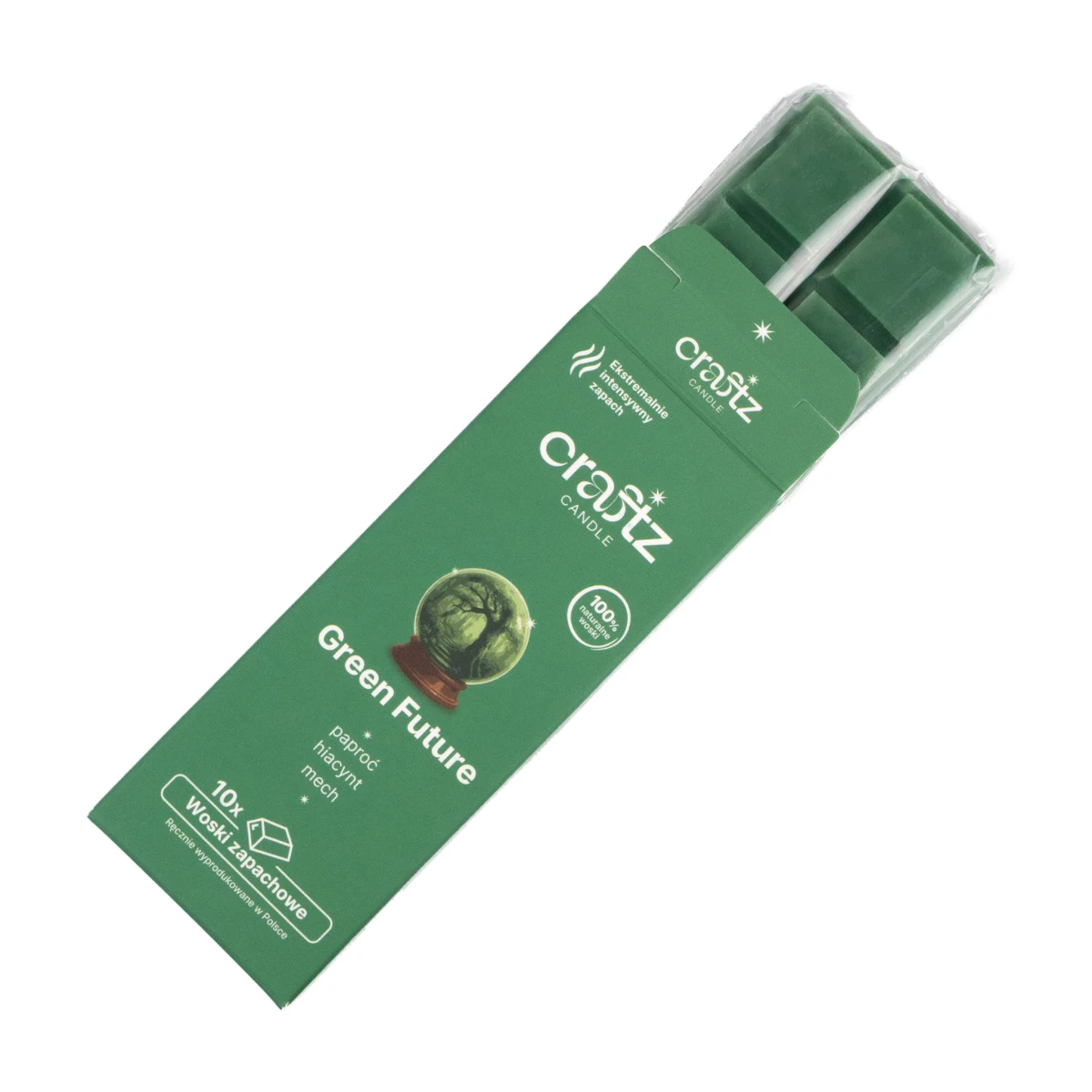 Green Future2 — kopia.jpg
